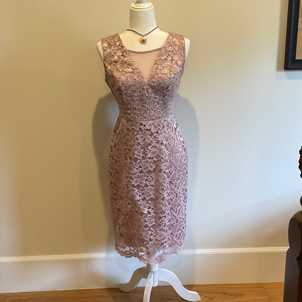 Enfocus Studio Lace Midi Dress in Soft Pink